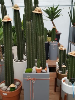 귀면각(선인장)