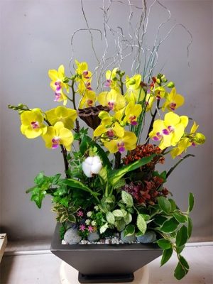 작품 호접난(플루선셋)